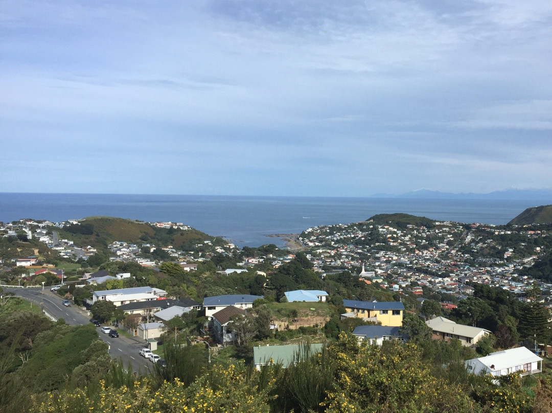Southern Walkway-惠灵顿必去景点