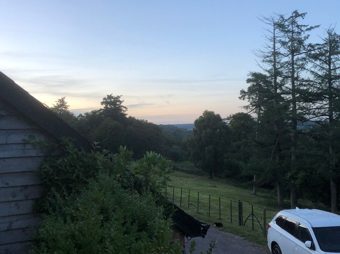 The Old Kennels主图