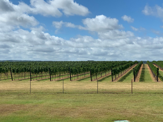 Fredericksburg Tours, LLC-弗雷德里克斯堡必去景点