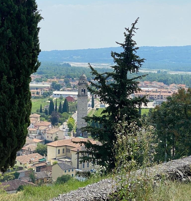 Azienda Agricola Campion主图