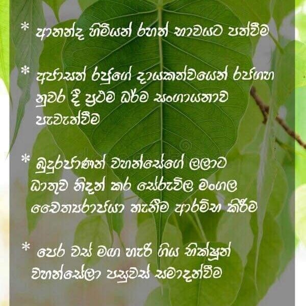 Go Ceylon Tours景点图片