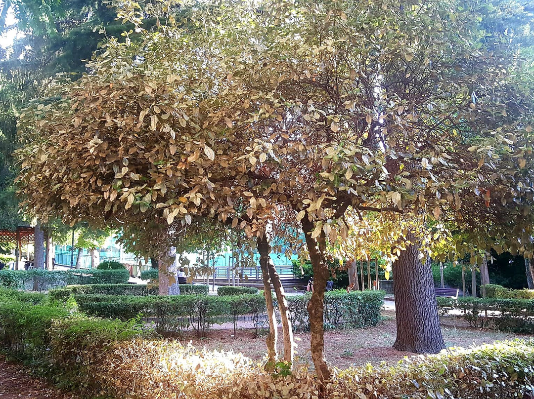 Villa Comunale Santa Maria景点图片