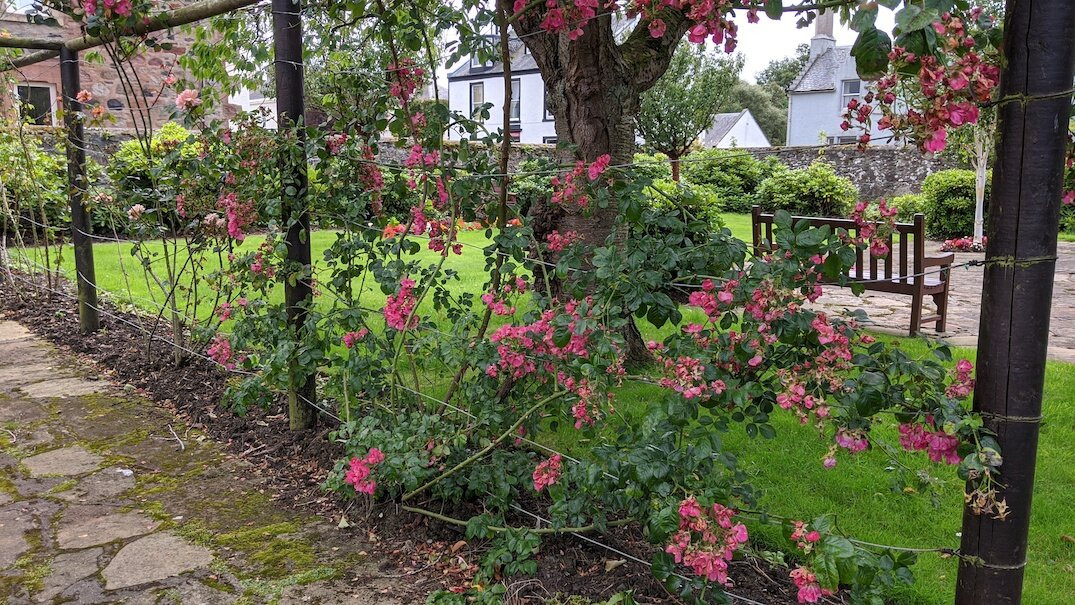 Orchard Gardens景点图片