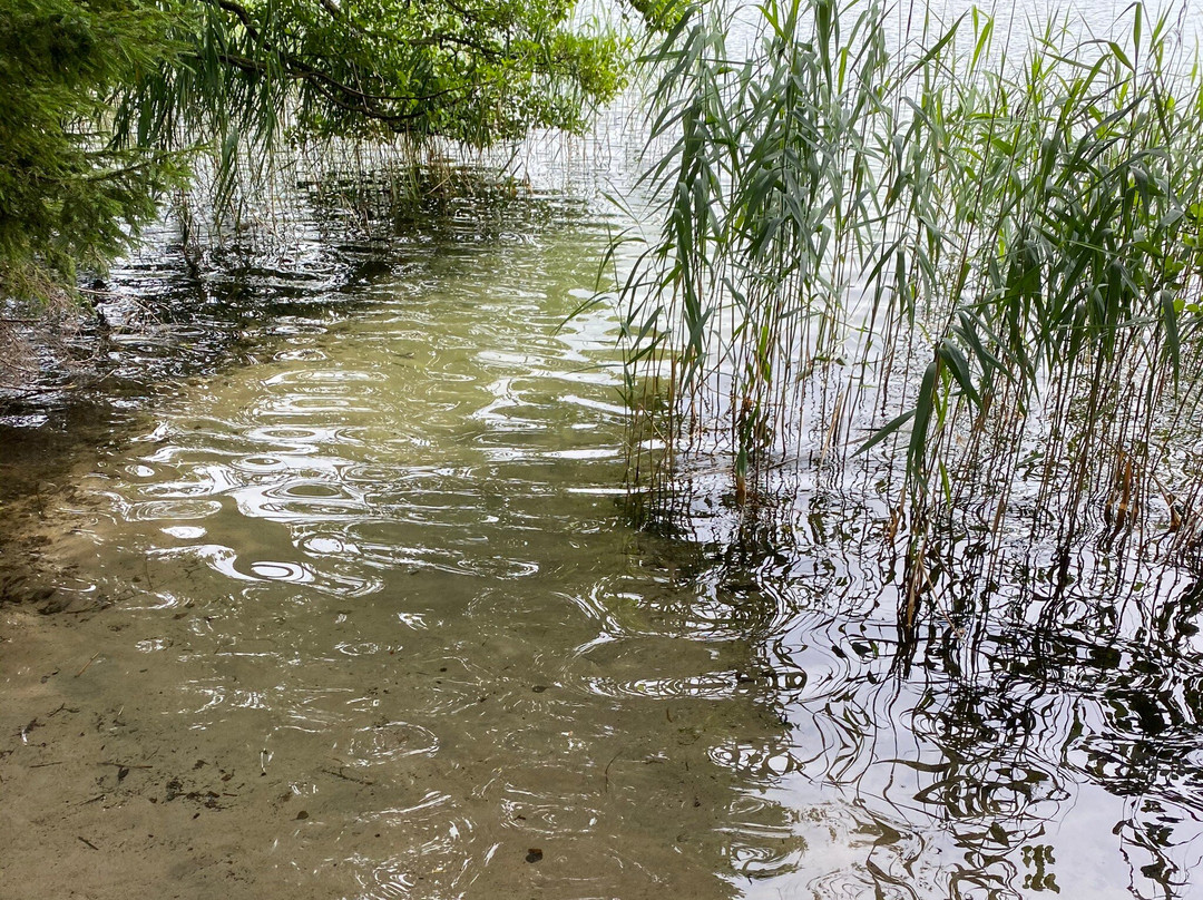 Ecological Path Golubyye Ozyora-Naroch必去景点