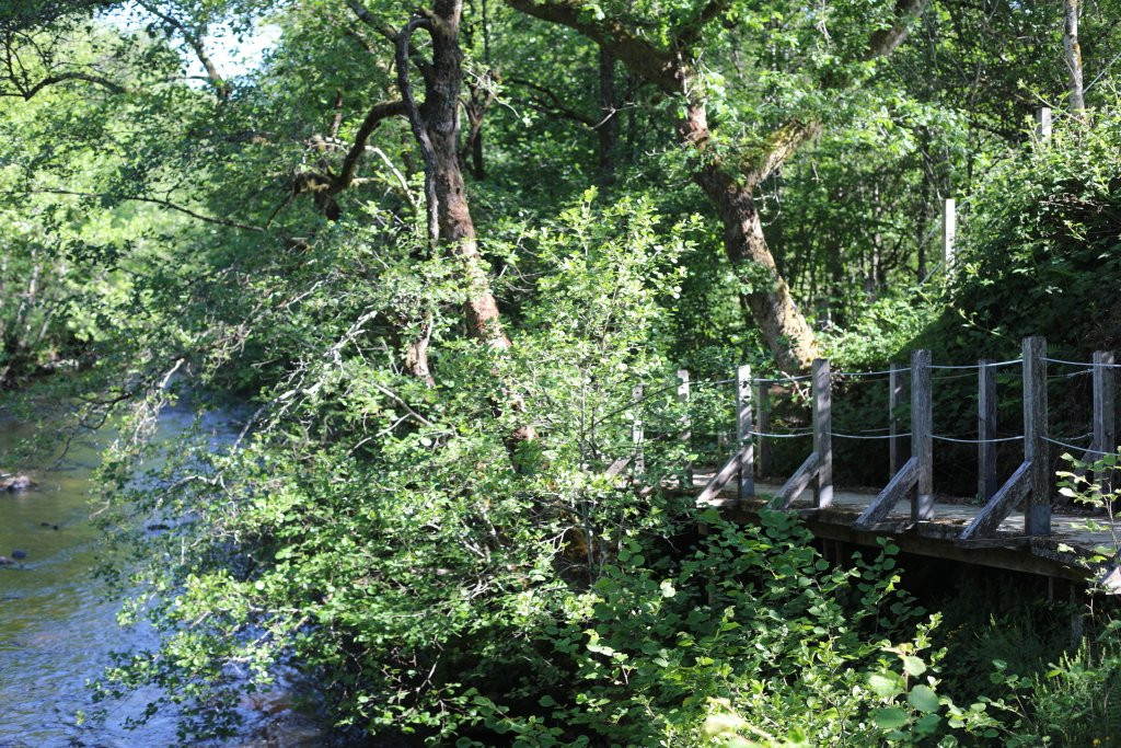 Confluence de la Cure et du Caillot