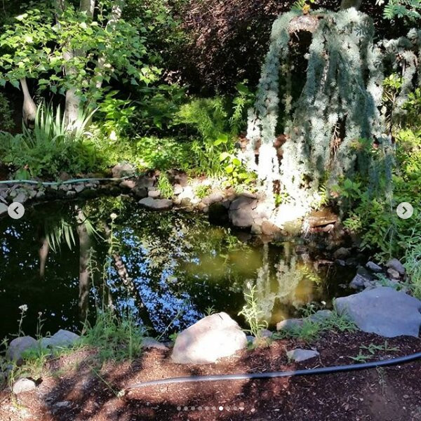 Old Parkdale Inn Bed And Breakfast主图