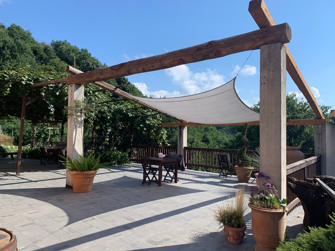Agriturismo Gocce di Luna主图
