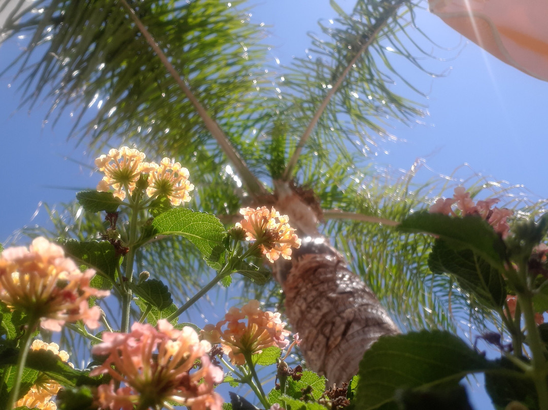 Toxo Hotel & Apartments主图