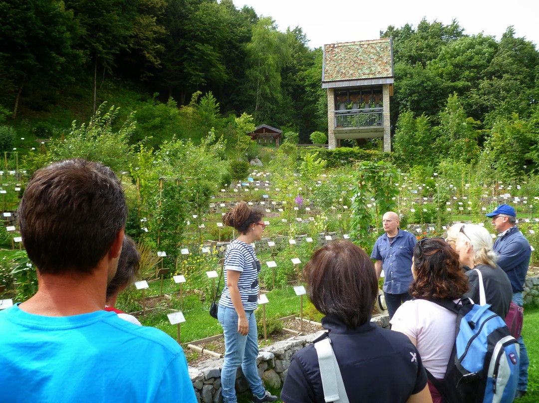 Il Giardino dei Semplici