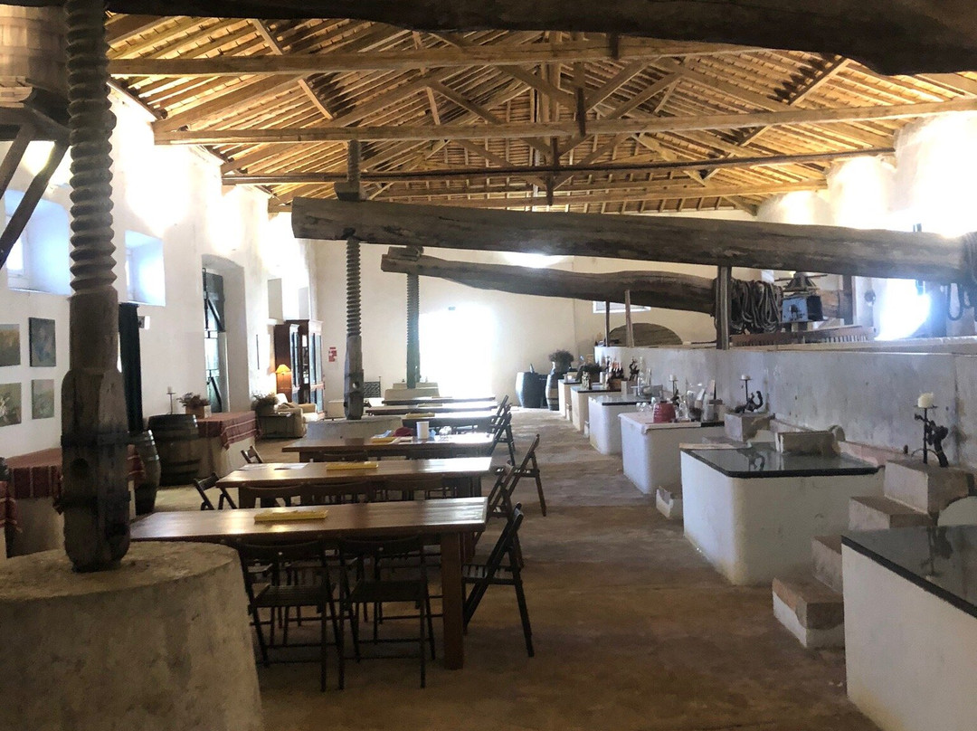 Quinta do Sanguinhal景点图片