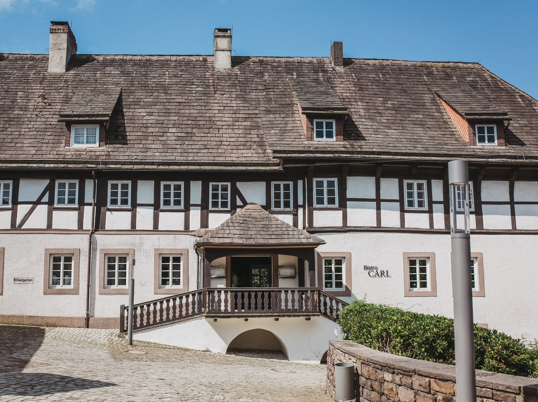 Museum Schloss Furstenberg景点图片