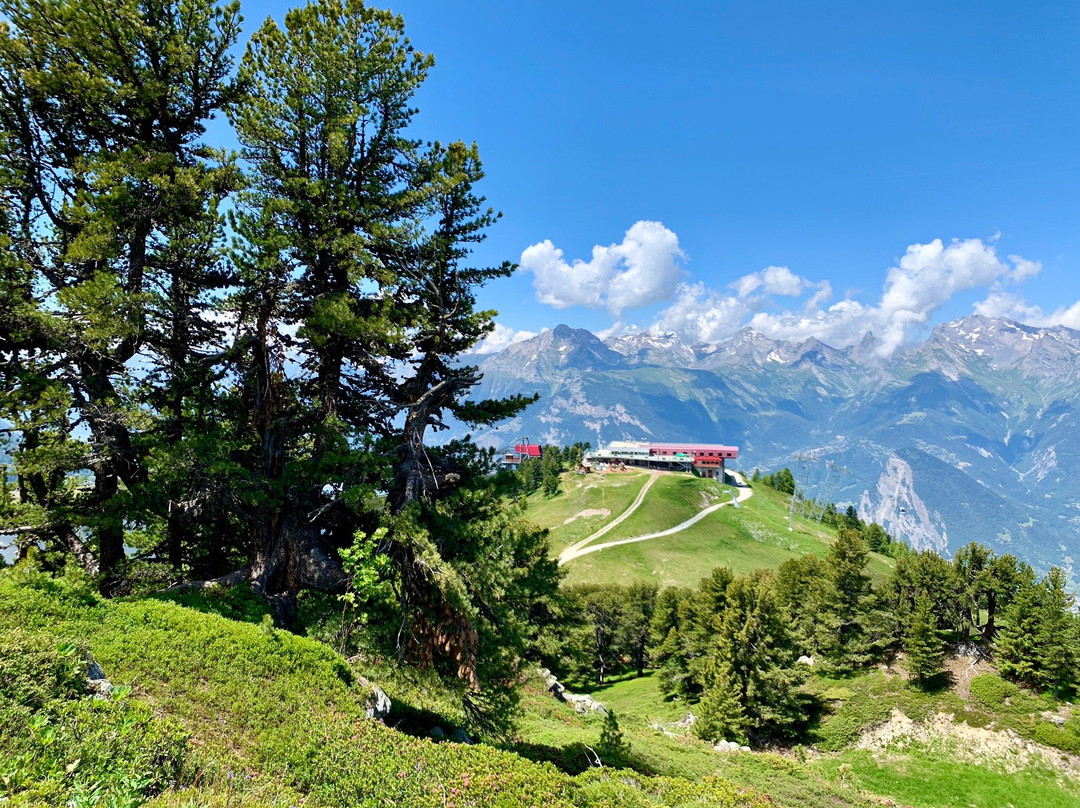 Nendaz 4 Vallees景点图片