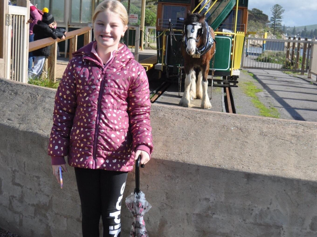 Victor Harbor Horse Drawn Tram-维克多港必去景点