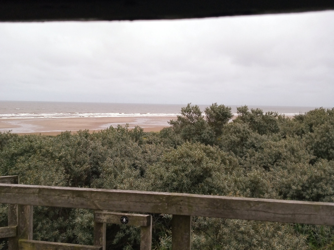 Round and Round House-Anderby Creek必去景点