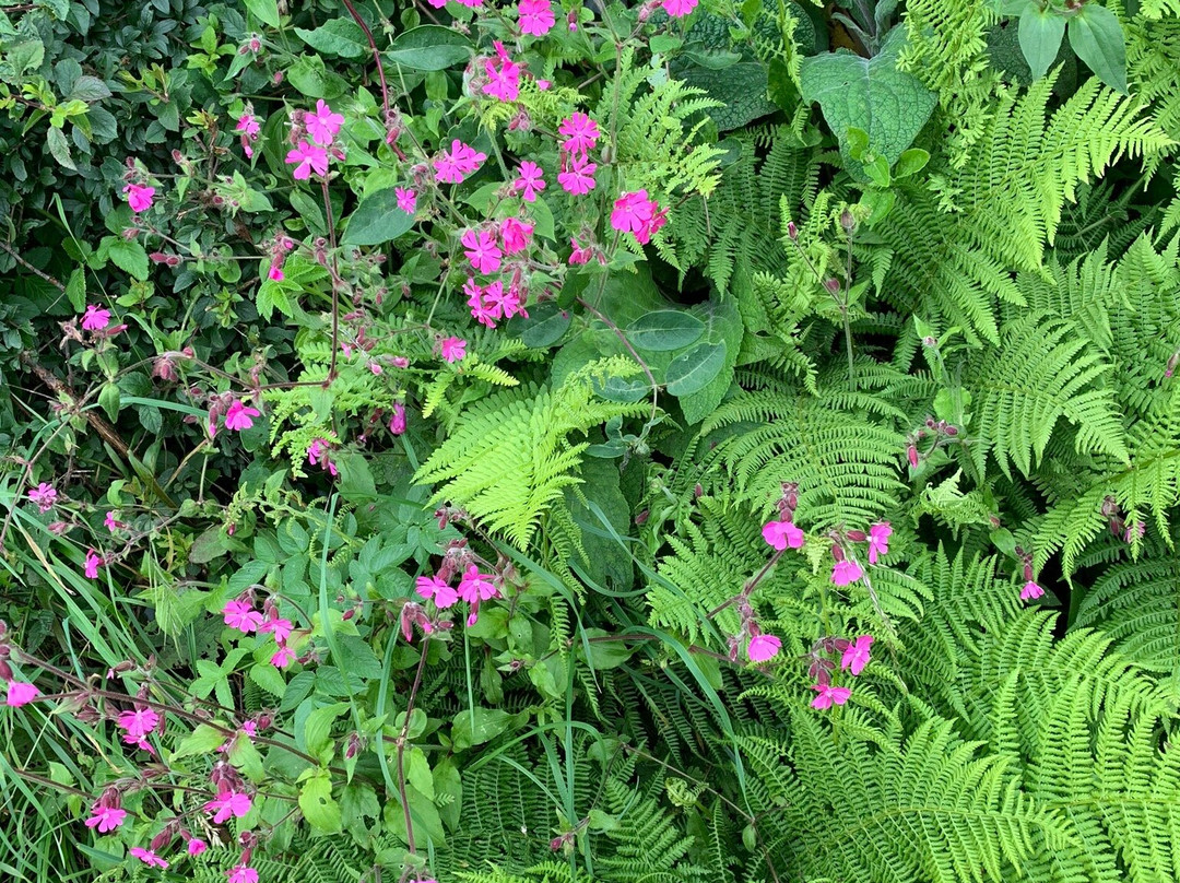 The Old Parsonage主图