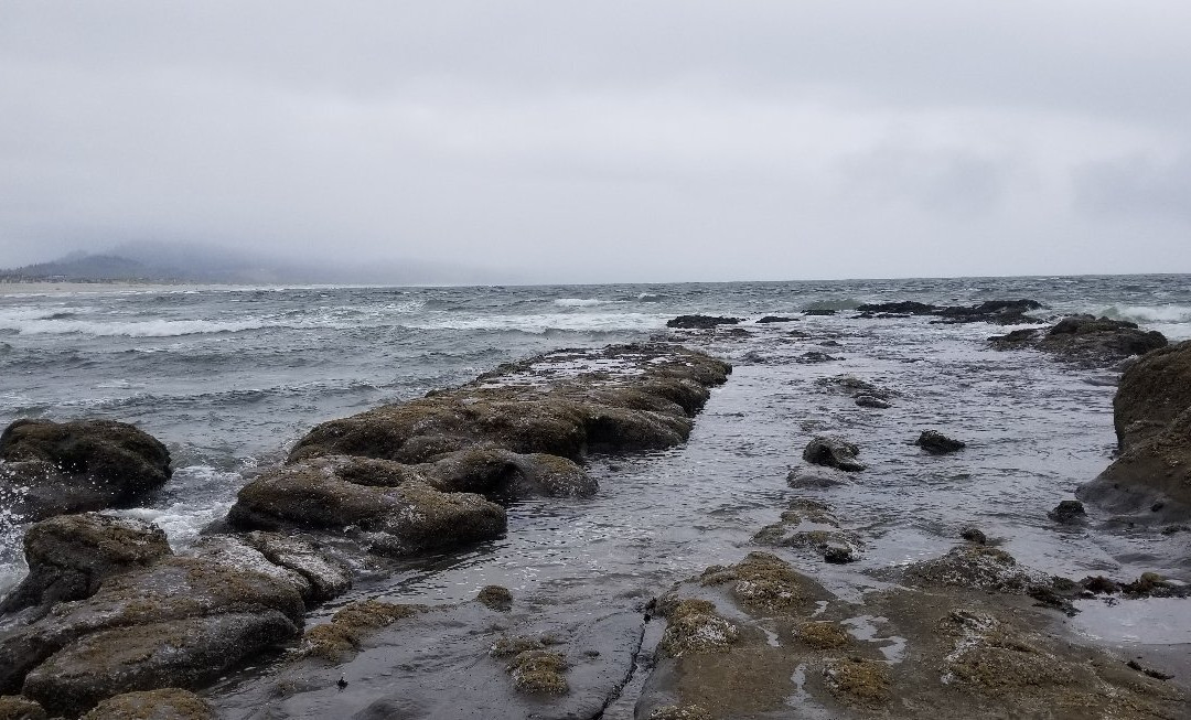Bob Straub State Park-太平洋城必去景点