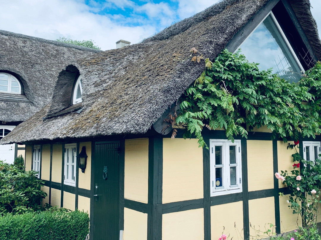Stenbjerg旅游攻略图片