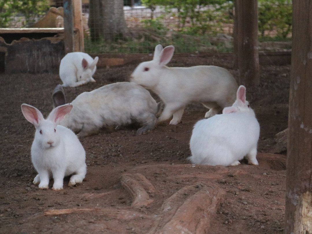 Hotel Fazenda Santa Maria主图
