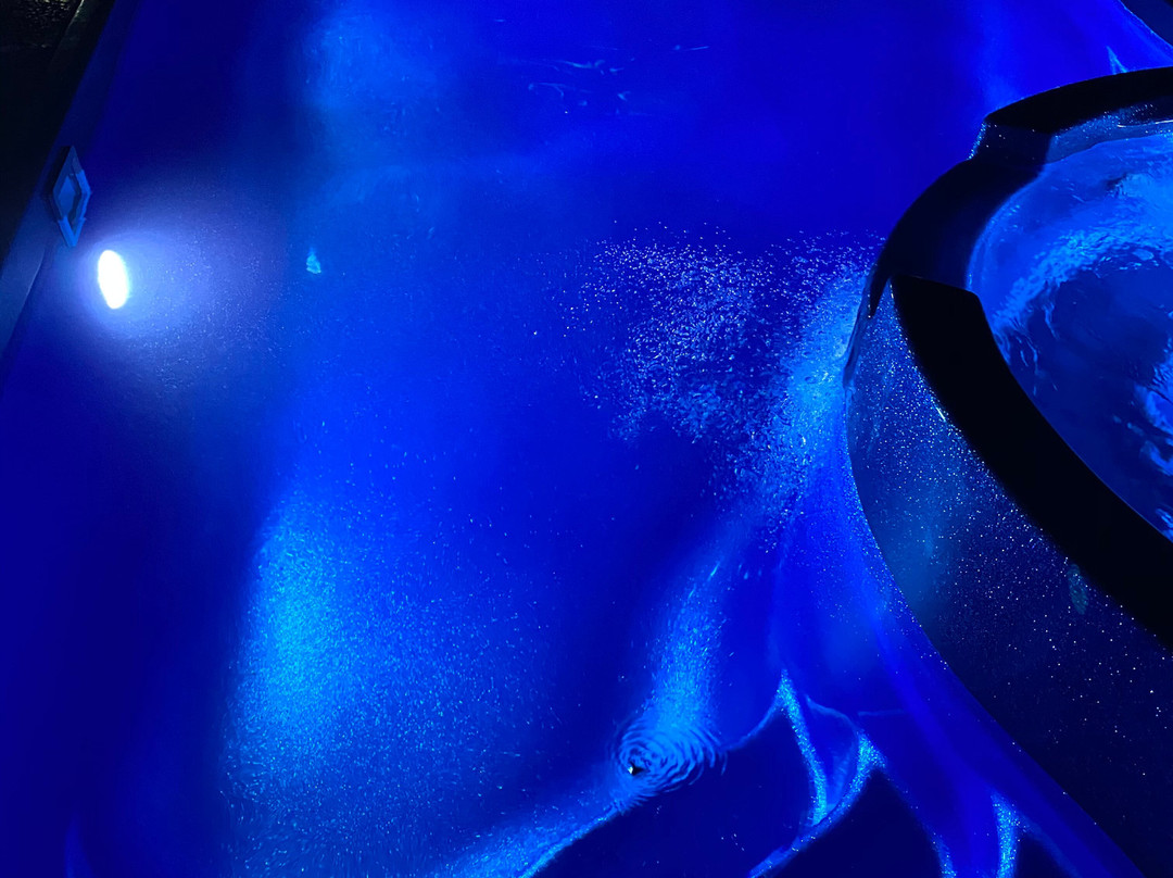 Luxury Spa Villa Elizabeth Star主图