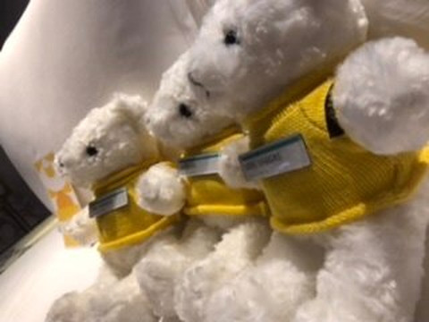 上海闵行宝龙艾美酒店主图