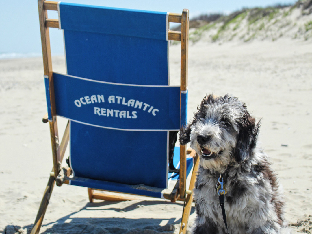 Ocean Atlantic Rentals-斩魔山必去景点