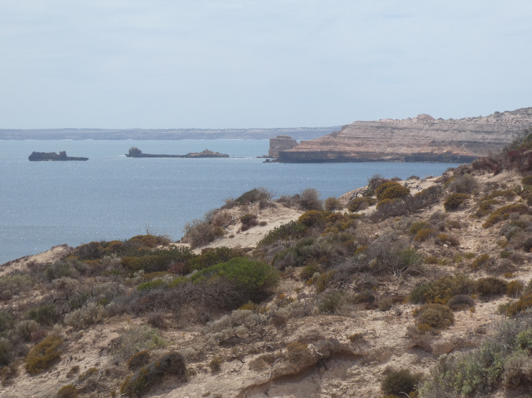 Westall Way Loop Coastal Scenic Drive-Streaky Bay必去景点
