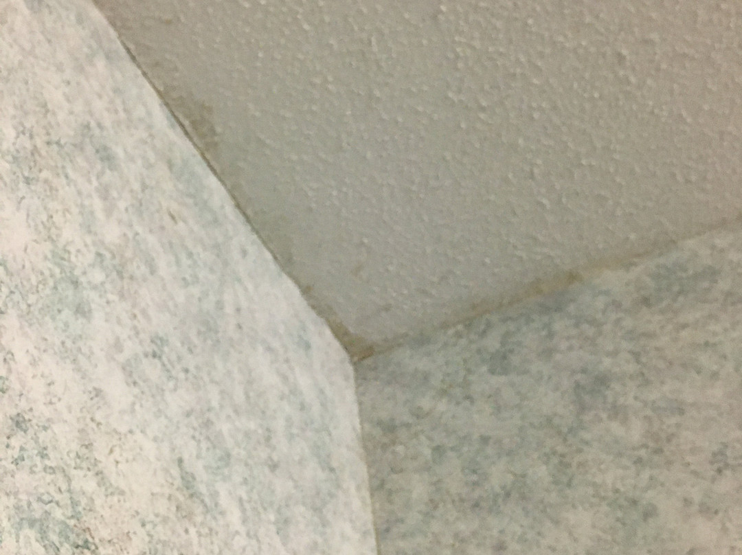 Baymont by Wyndham Manistee主图