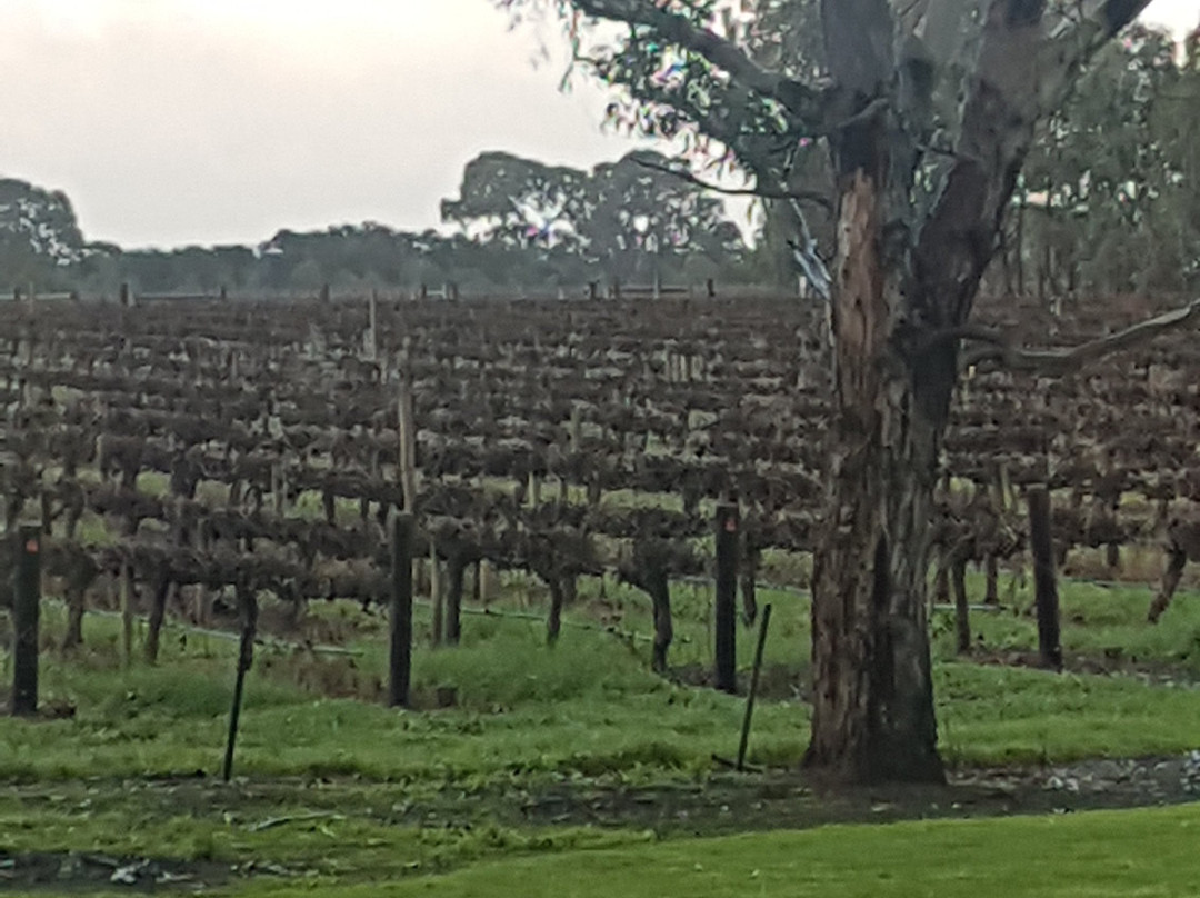 Punters Corner The Retreat主图