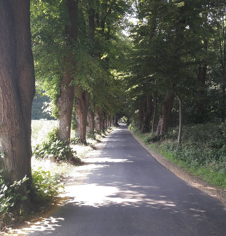 Hotel Furstenberger Hof主图