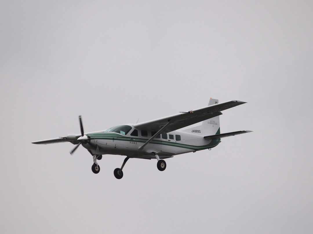 Musashinonomori Park-府中市必去景点