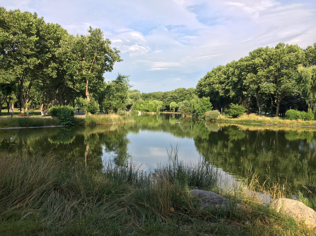 Soğanlı Botanik Parkı-布尔萨必去景点