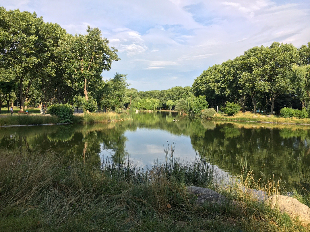 Soğanlı Botanik Parkı景点图片