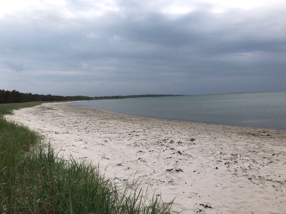 Sudersands Strand-Faro必去景点