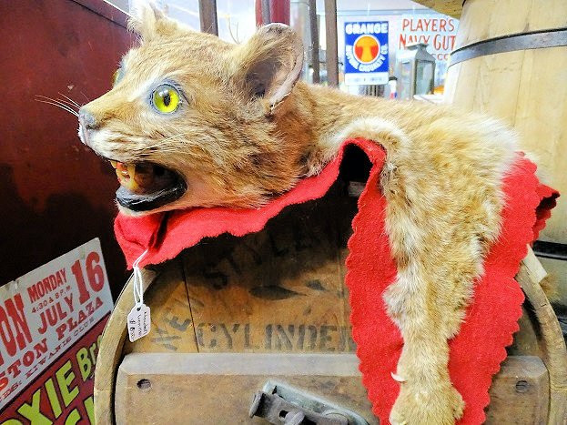 Chris and Friends Antiques and Uniques景点图片