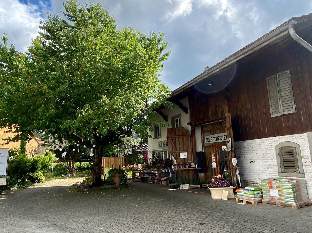 Weisslingen旅游攻略图片