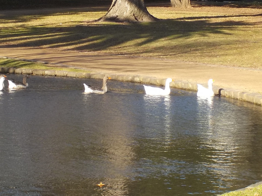 Caulfield Park景点图片