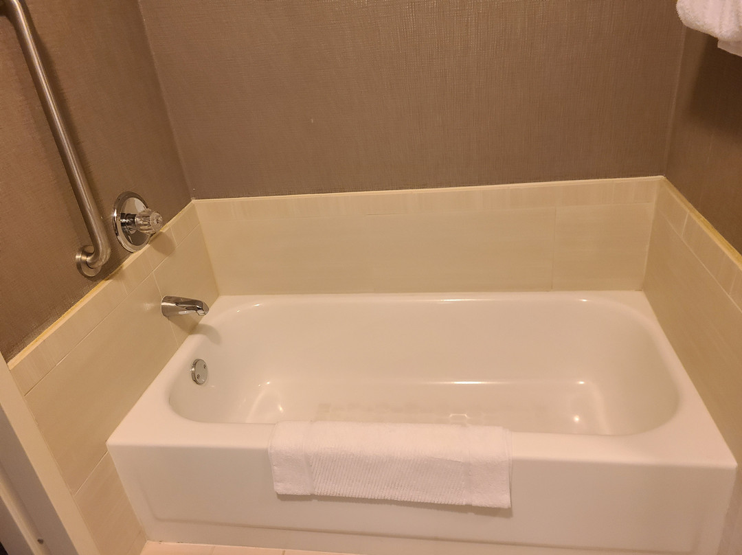 芝加哥迪尔菲尔德万豪酒店主图