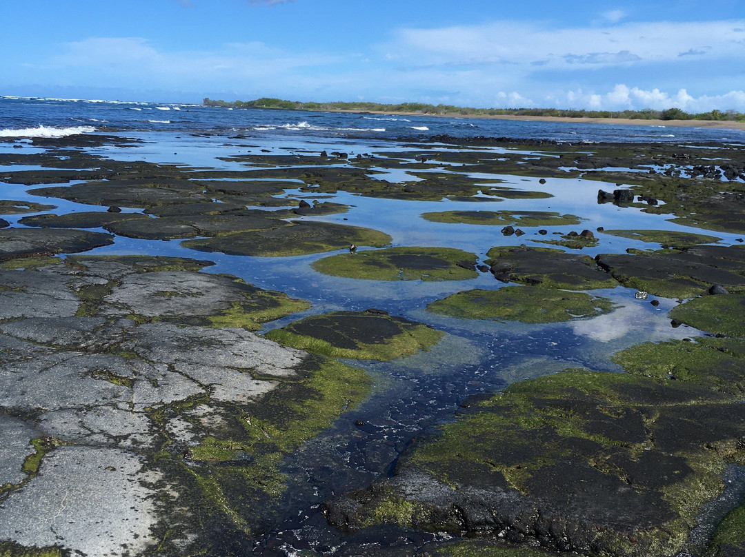 Kaloko-Honokohau National Historical Park景点图片