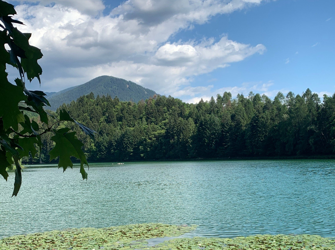 Lago di Canzolino景点图片