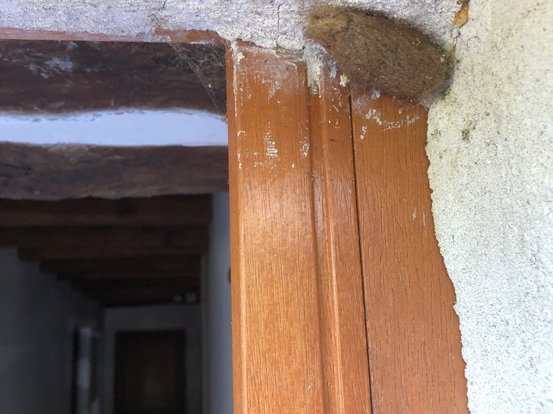 Domaine de Pagnagues主图