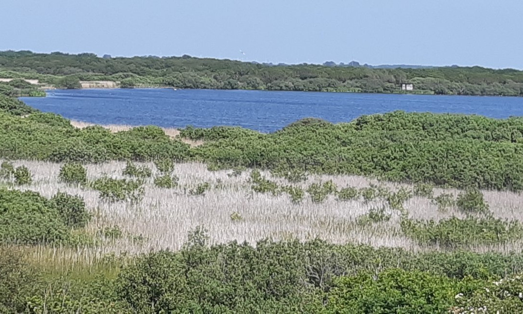 Natuurgebied Zwanenwater景点图片