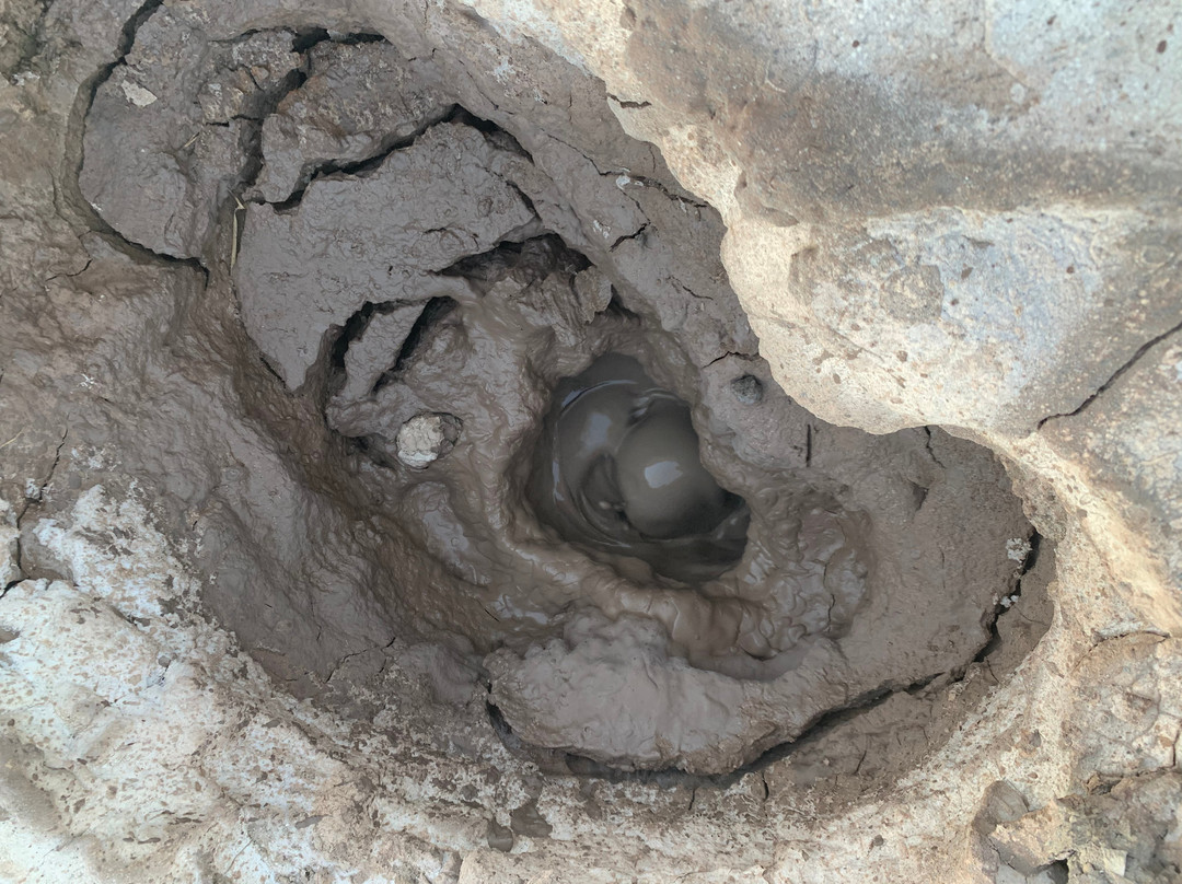 Salton Sea Mud Volcanoes景点图片