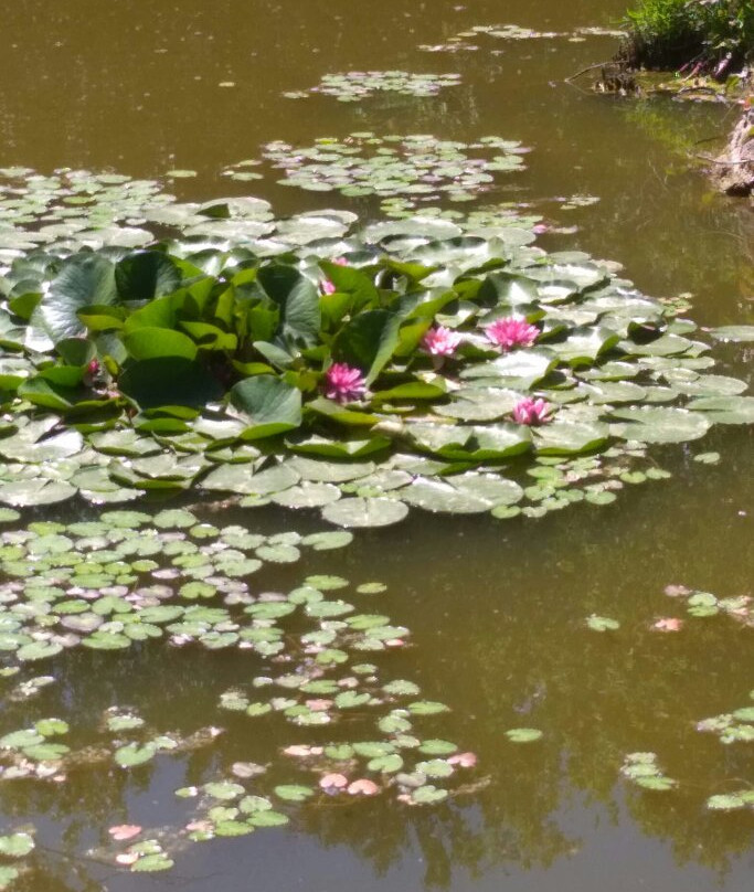 Arboretum Mlynany SAV-Slepcany必去景点