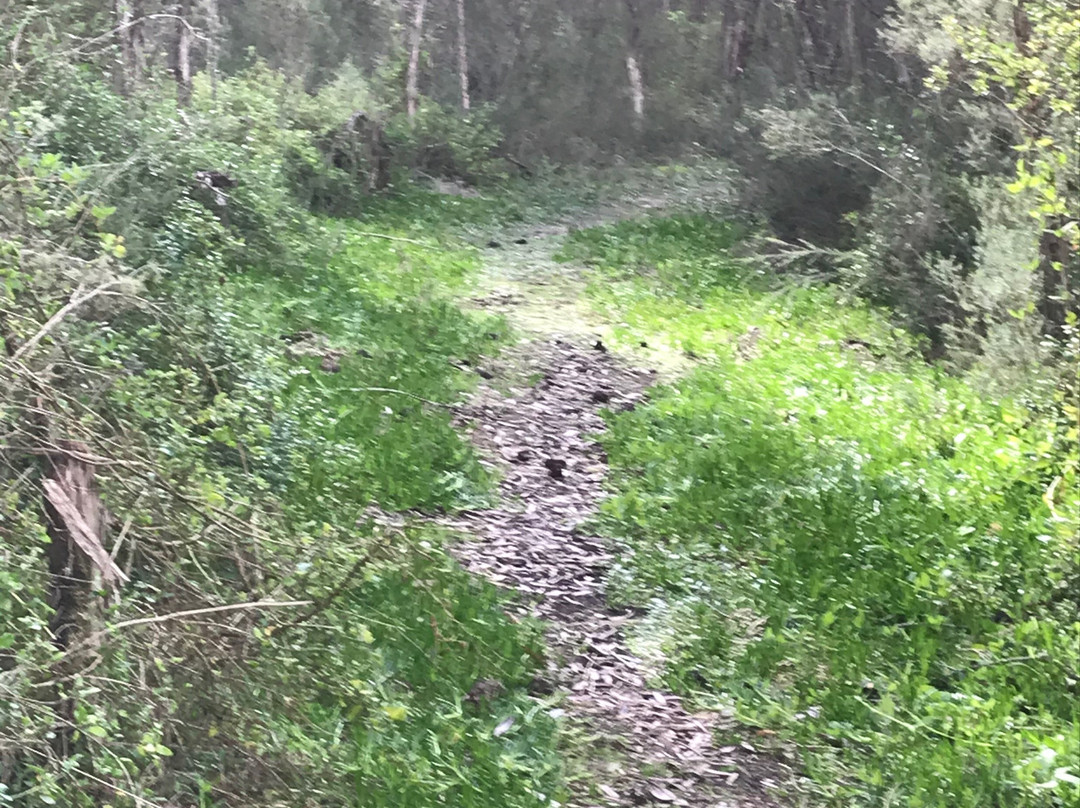 The Lakes National Park景点图片