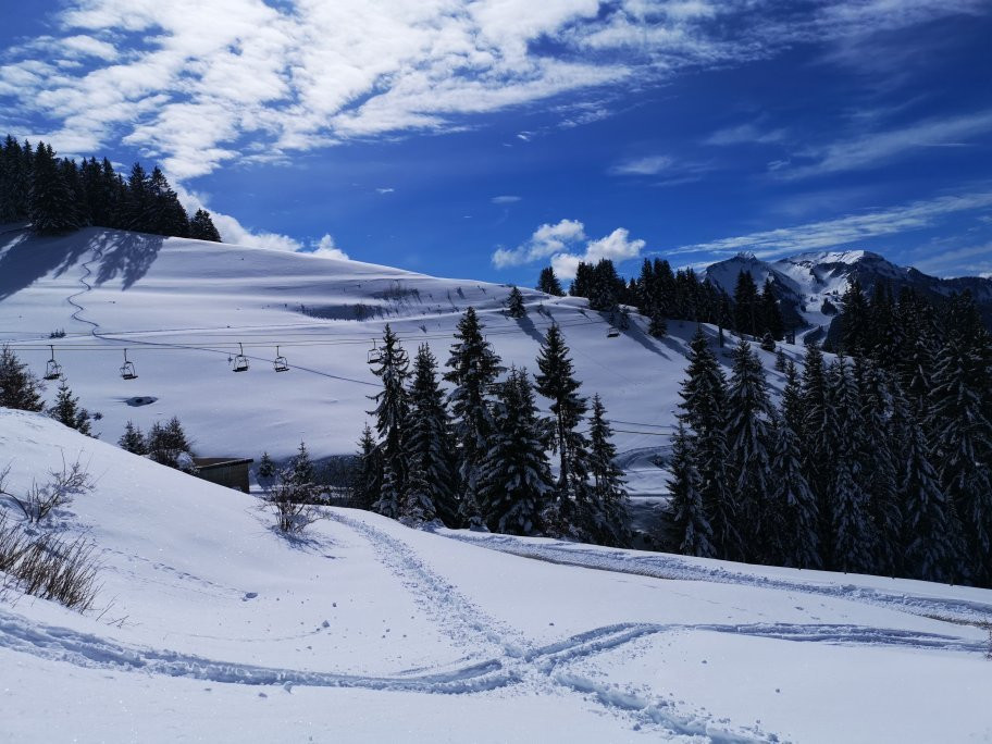 Alpine Descents, Chalet Carnauba主图