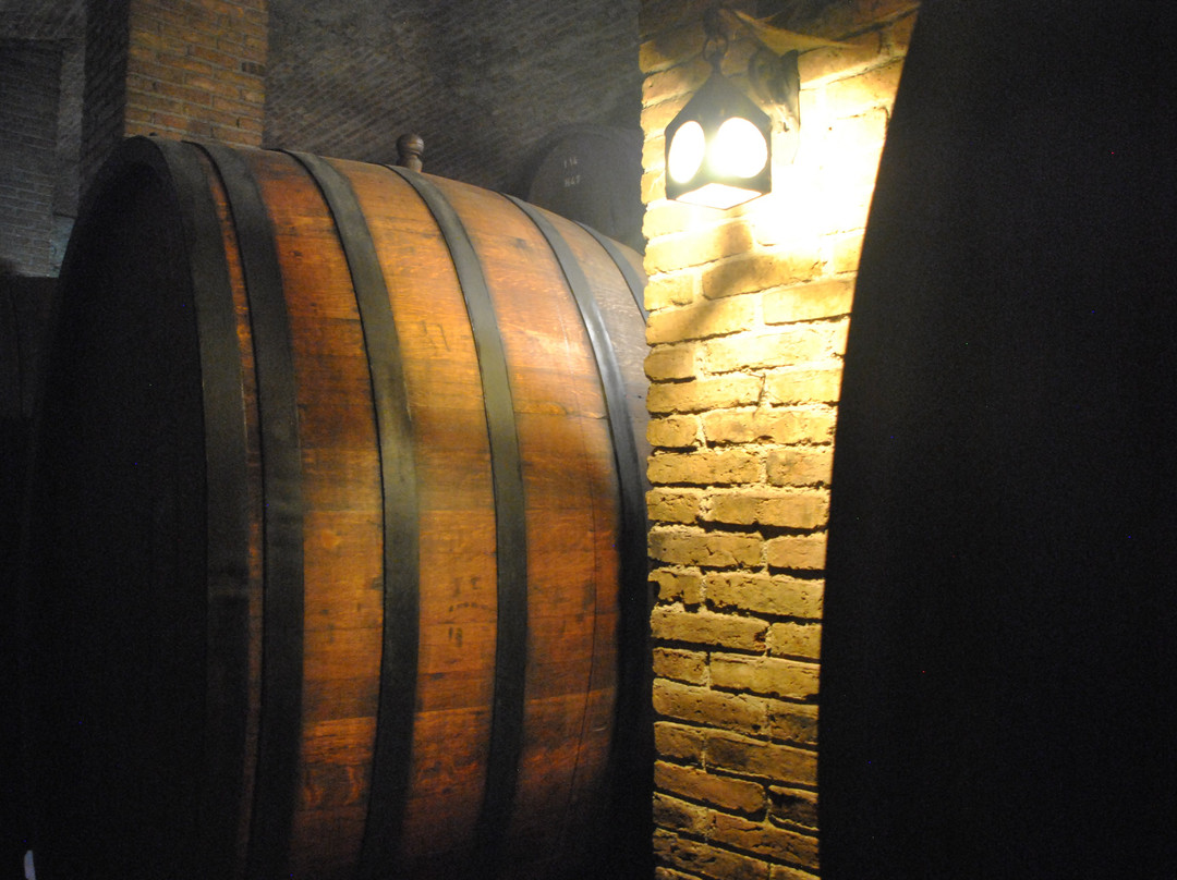 Bodega y Cavas de Weinert景点图片