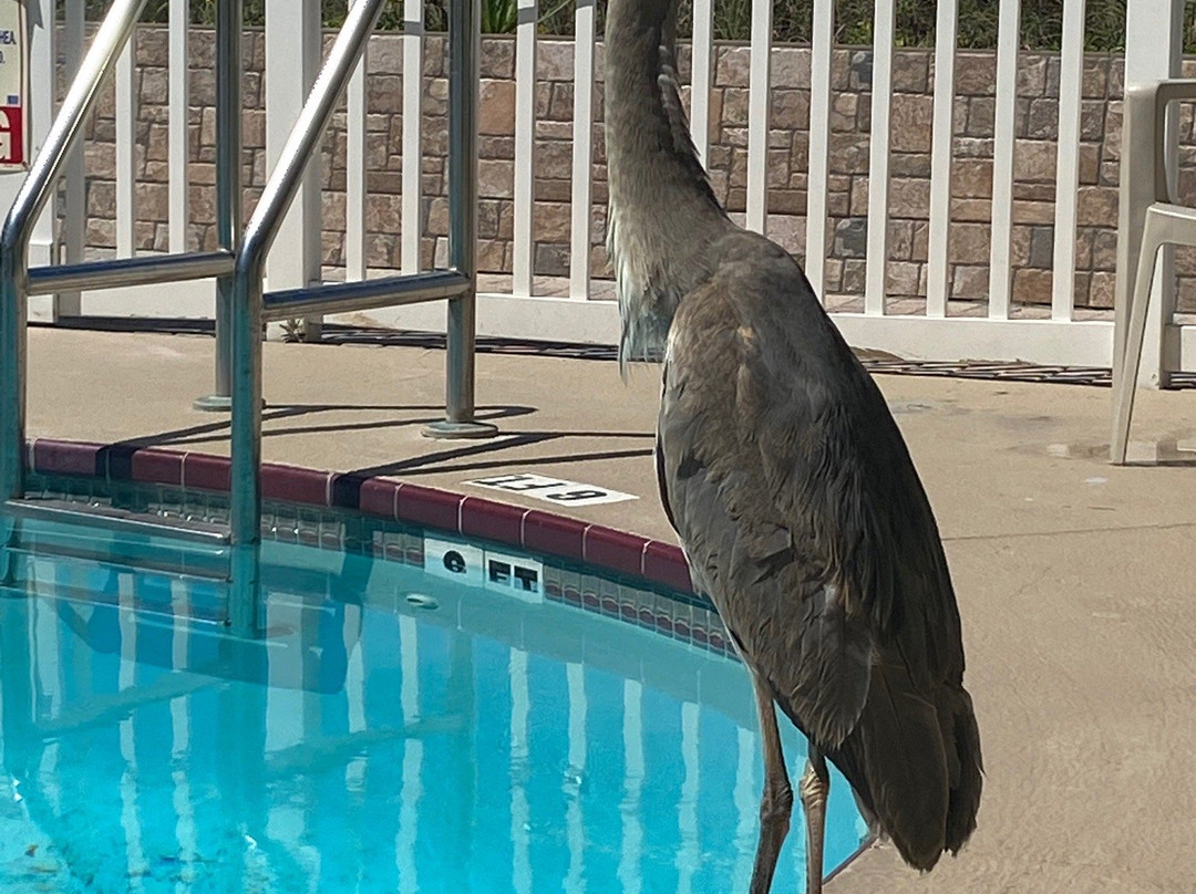 Schooner Hotel主图