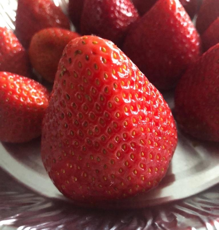 Rock Garden Farms-卡利登必去景点