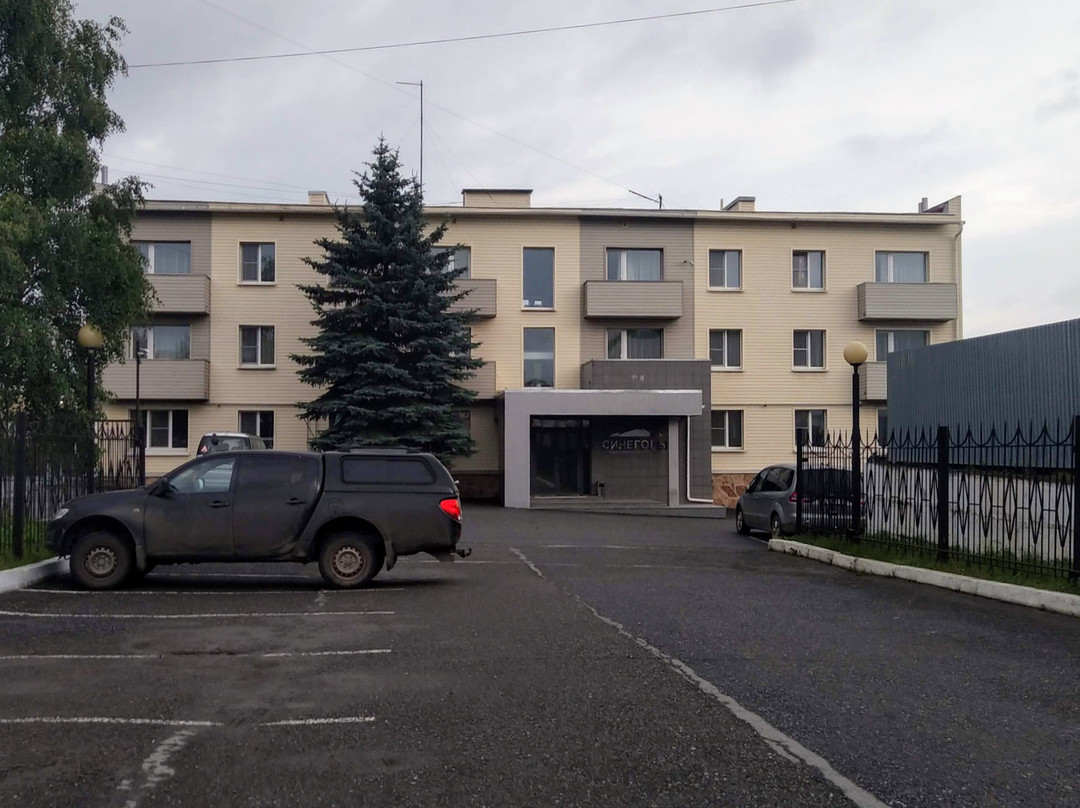 Hotel Sinegorie主图