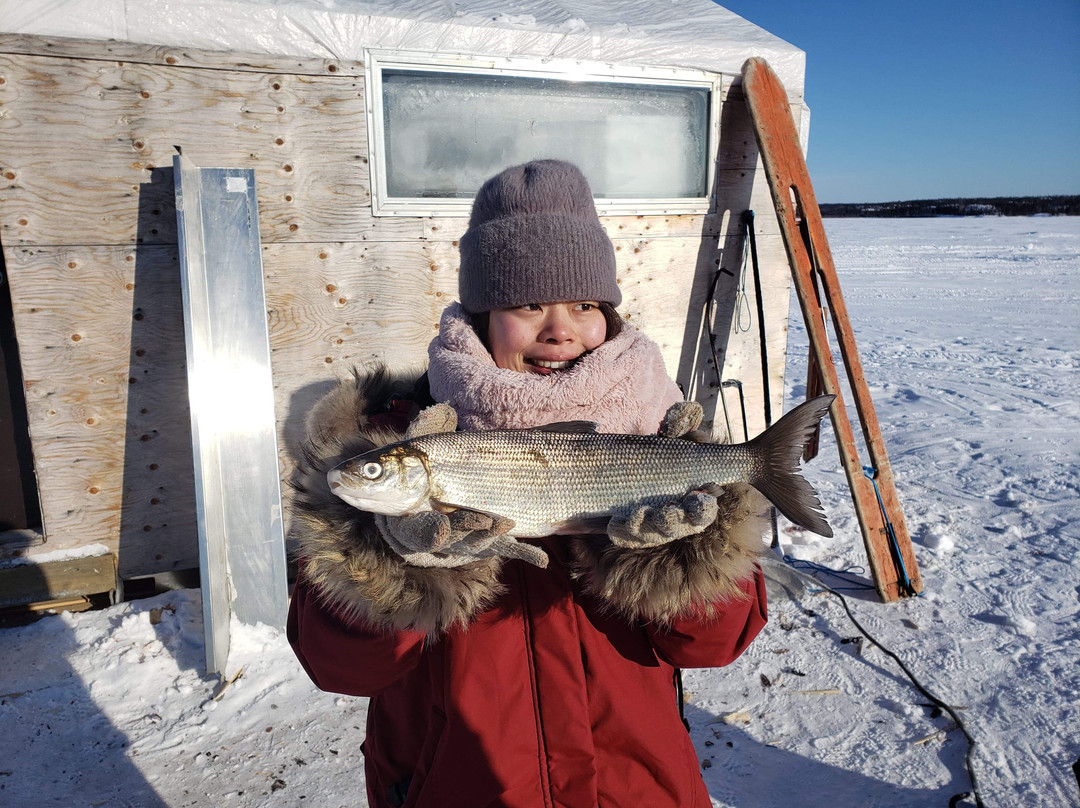 Great Slave Lake Tours-Hay River必去景点